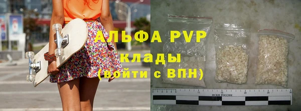 гашик Верея