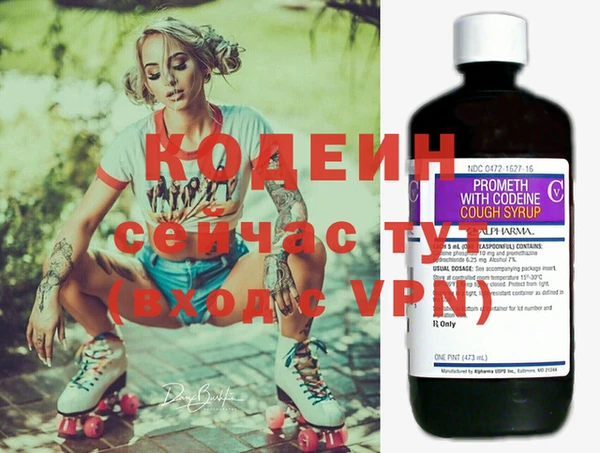 гашик Верея