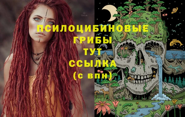 молекула духа Верхний Тагил
