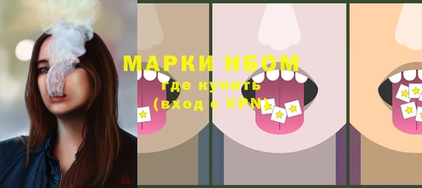 молекула духа Верхний Тагил