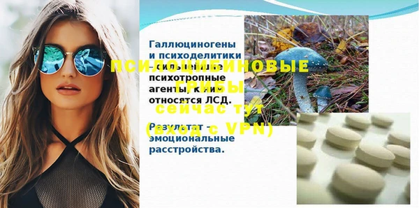молекула духа Верхний Тагил