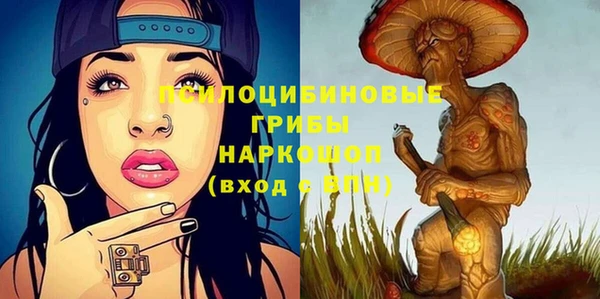 гашик Верея