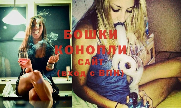 гашик Верея