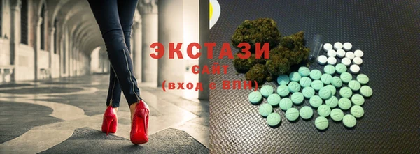 гашик Верея