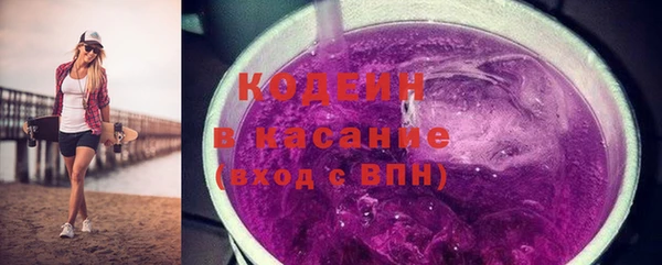 гашик Верея