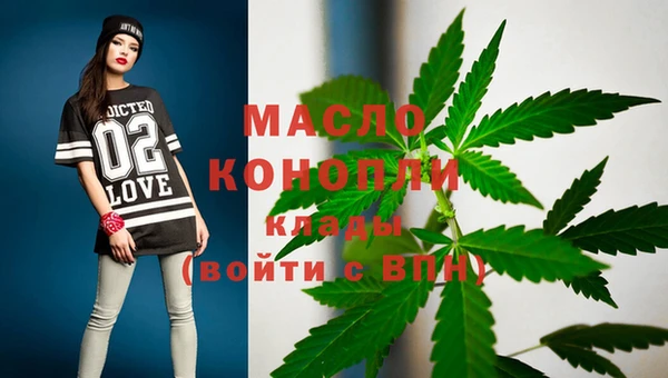 молекула духа Верхний Тагил